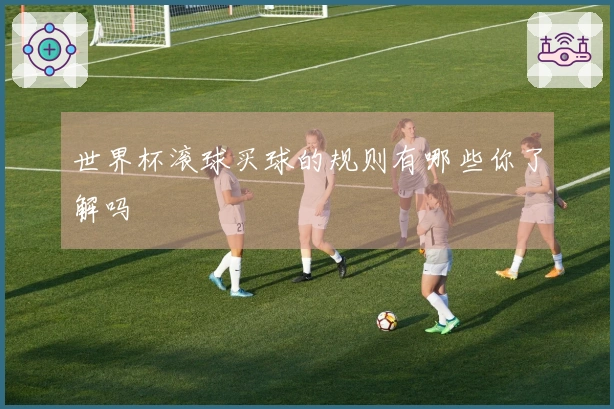 世界杯滚球买球的规则有哪些你了解吗