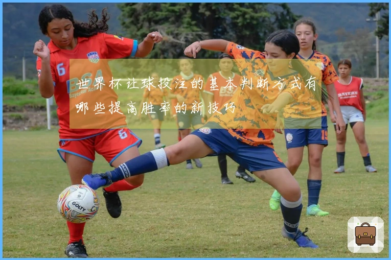 世界杯让球投注的基本判断方式有哪些提高胜率的新技巧