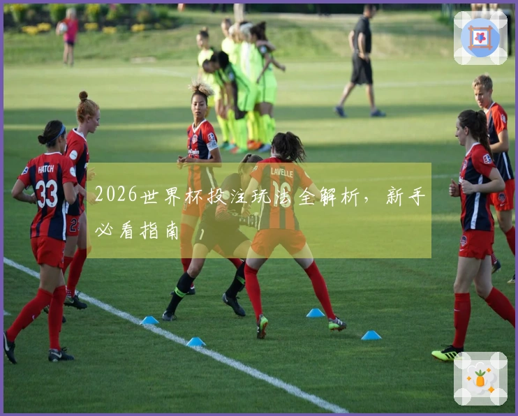 2026世界杯投注玩法全解析，新手必看指南