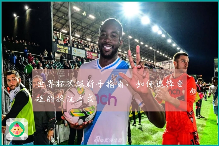 世界杯买球新手指南，如何选择合适的投注方式