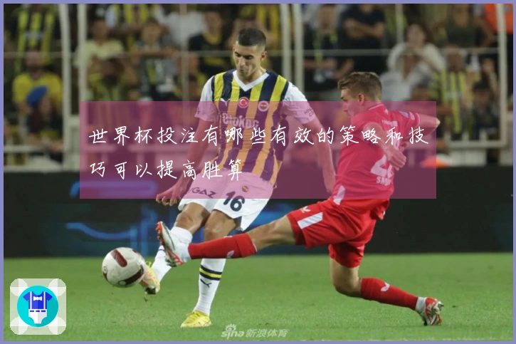 世界杯投注有哪些有效的策略和技巧可以提高胜算