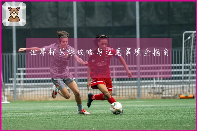 世界杯买球攻略与注意事项全指南