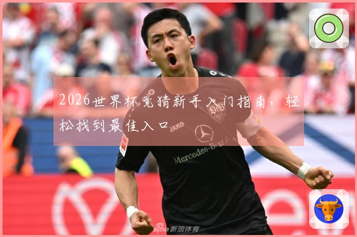 2026世界杯竞猜新手入门指南，轻松找到最佳入口