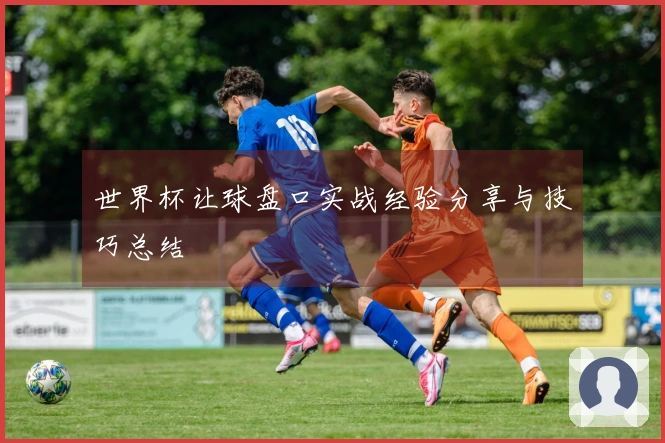 世界杯让球盘口实战经验分享与技巧总结
