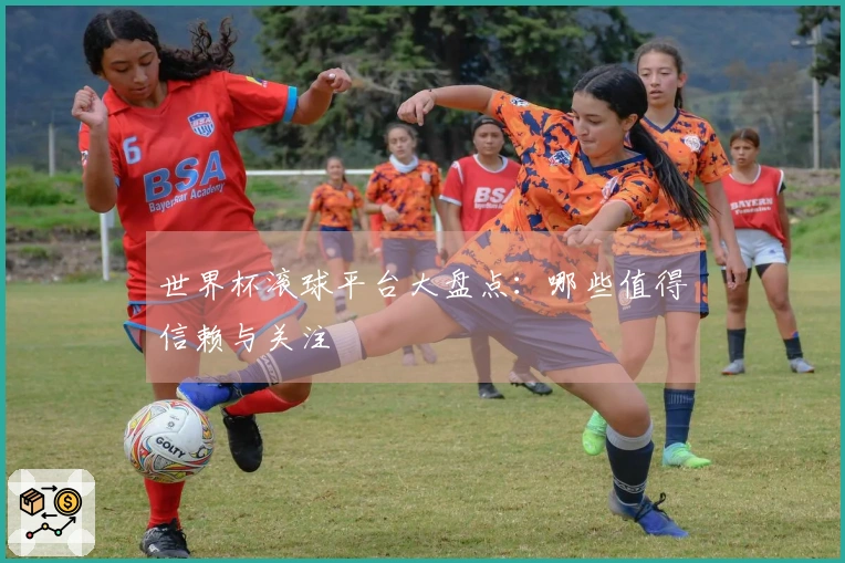 世界杯滚球平台大盘点：哪些值得信赖与关注