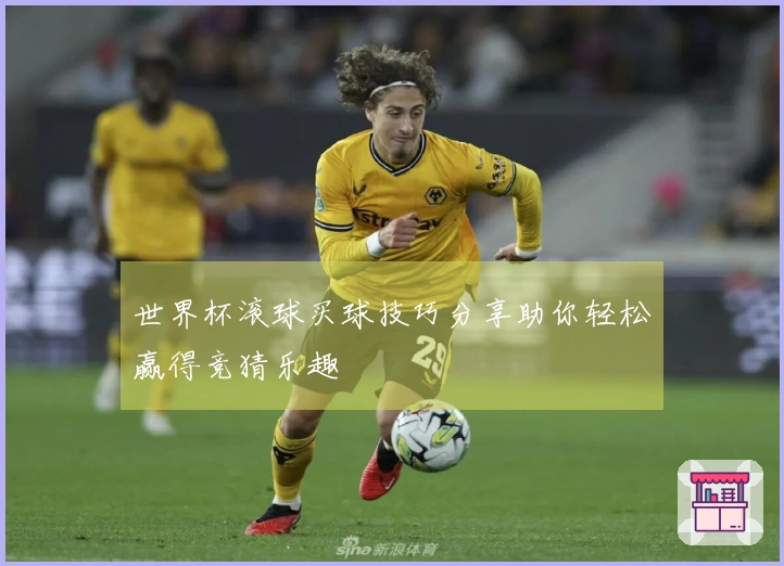 世界杯滚球买球技巧分享助你轻松赢得竞猜乐趣