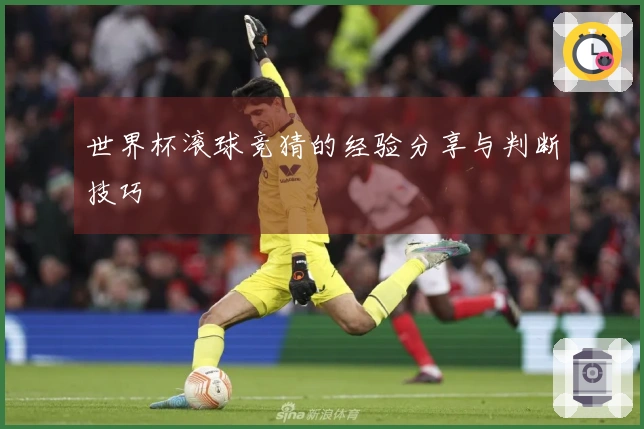 世界杯滚球竞猜的经验分享与判断技巧