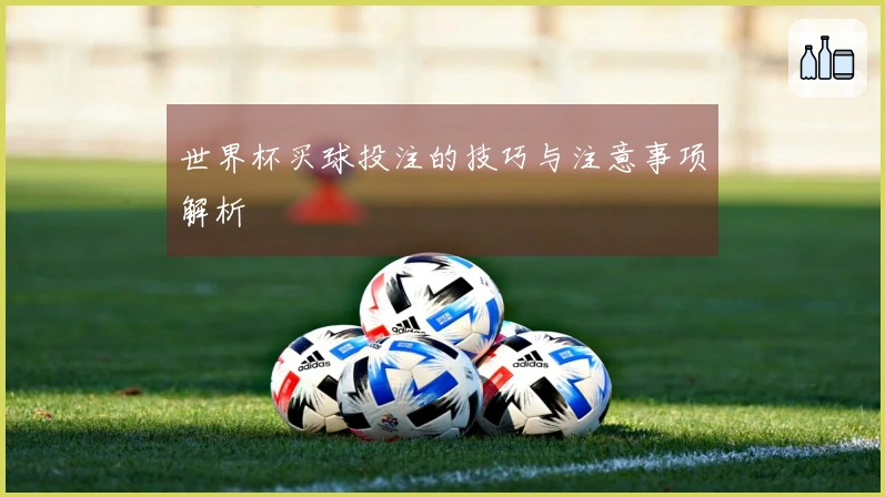 世界杯买球投注的技巧与注意事项解析