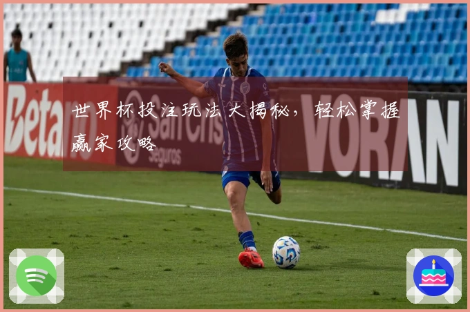世界杯投注玩法大揭秘，轻松掌握赢家攻略