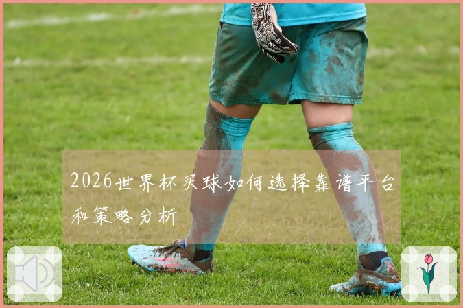 2026世界杯买球如何选择靠谱平台和策略分析