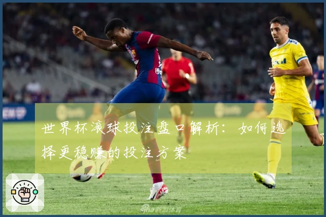 世界杯滚球投注盘口解析：如何选择更稳赚的投注方案