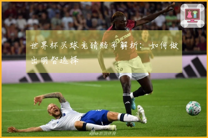 世界杯买球竞猜赔率解析：如何做出明智选择