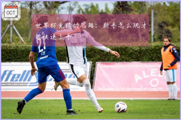 世界杯竞猜的思路：新手怎么玩才能快速上手