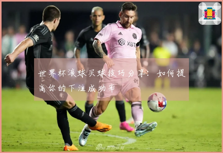 世界杯滚球买球技巧分享：如何提高你的下注成功率