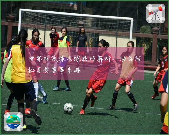 世界杯滚球买球技巧解析，助你轻松享受赛事乐趣