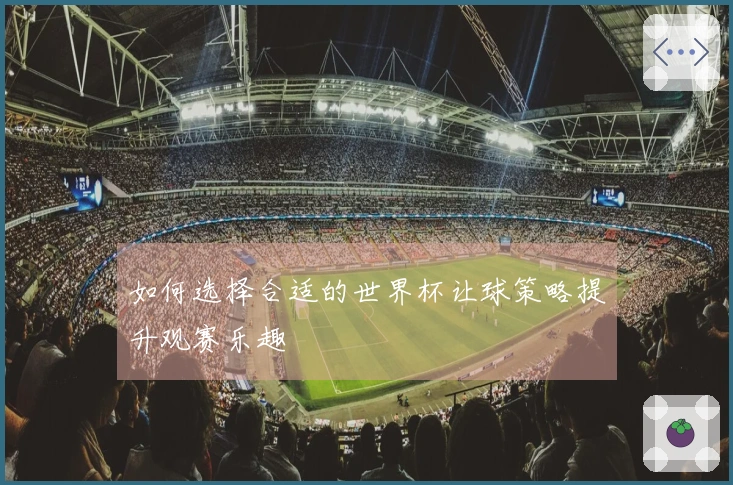 如何选择合适的世界杯让球策略提升观赛乐趣