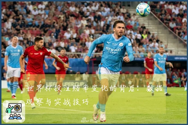 世界杯投注赔率变化的背后：数据观察与实战技巧