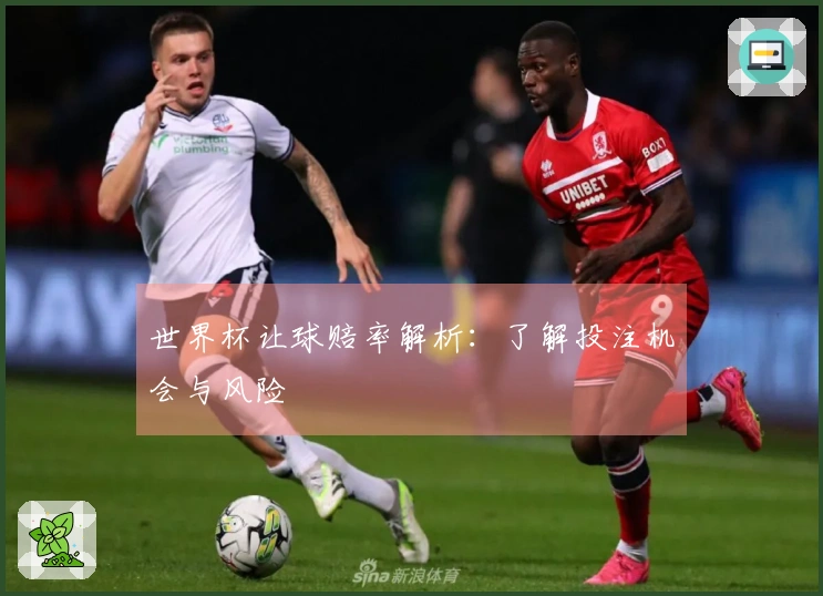 世界杯让球赔率解析：了解投注机会与风险