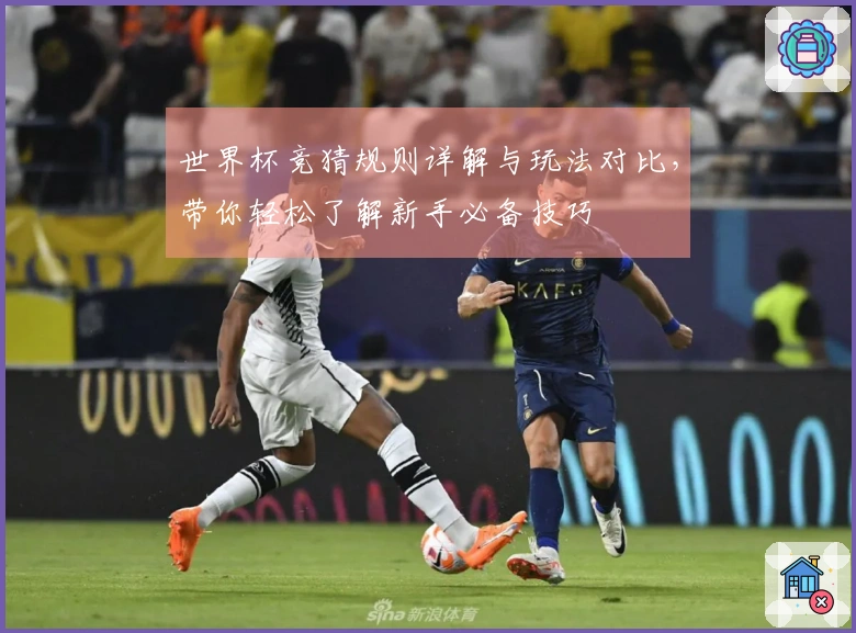世界杯竞猜规则详解与玩法对比，带你轻松了解新手必备技巧