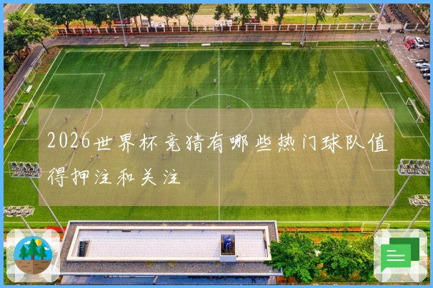 2026世界杯竞猜有哪些热门球队值得押注和关注