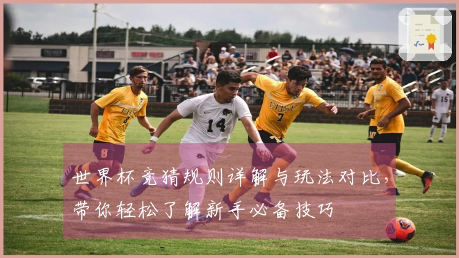 世界杯竞猜规则详解与玩法对比，带你轻松了解新手必备技巧