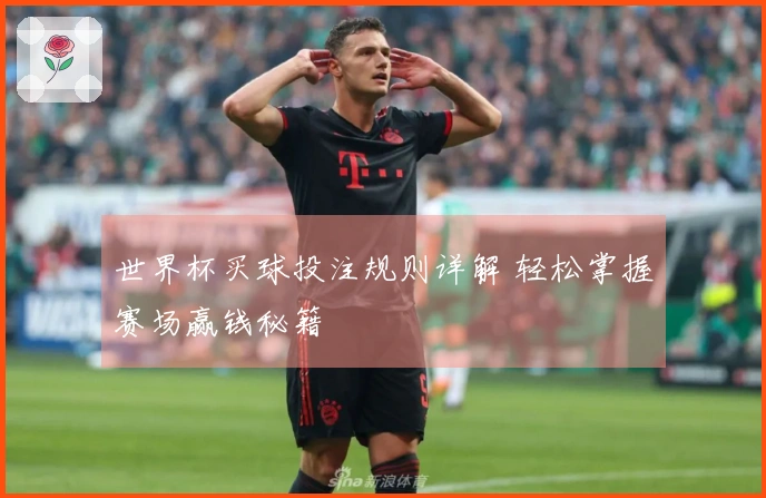 世界杯买球投注规则详解 轻松掌握赛场赢钱秘籍
